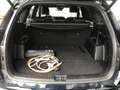 Kia Sorento 1.6 T-GDI Plug-in Hybrid 4WD ExecutiveLine 7p. Bleu - thumbnail 9