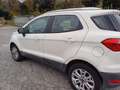 Ford EcoSport EcoSport 2014 1.0 ecoboost Titanium 125cv E6 Bianco - thumbnail 2