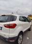 Ford EcoSport EcoSport 2014 1.0 ecoboost Titanium 125cv E6 Bianco - thumbnail 3