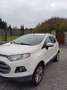 Ford EcoSport EcoSport 2014 1.0 ecoboost Titanium 125cv E6 Bianco - thumbnail 1