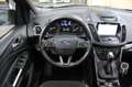 Ford Kuga 1.5 EcoBoost ST Line - PANORAMADAK, TREKHAAK, CAME Negro - thumbnail 17