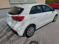 Kia Rio Rio 1,25 MPI Titan ISG Titan Weiß - thumbnail 2