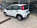 Fiat Panda Panda III 2021 1.0 firefly hybrid s Bianco - thumbnail 2