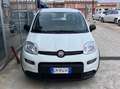 Fiat Panda Panda III 2021 1.0 firefly hybrid s Bianco - thumbnail 8