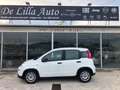 Fiat Panda Panda III 2021 1.0 firefly hybrid s Bianco - thumbnail 1