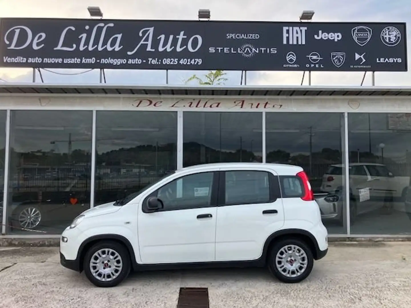 Fiat Panda Panda III 2021 1.0 firefly hybrid s Bianco - 1