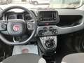 Fiat Panda Panda III 2021 1.0 firefly hybrid s Bianco - thumbnail 4