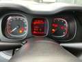 Fiat Panda Panda III 2021 1.0 firefly hybrid s Bianco - thumbnail 6