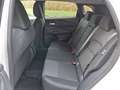 Nissan Qashqai 1,3 MHEV N-Connecta Aut. *ab € 26.990,-* Weiß - thumbnail 12