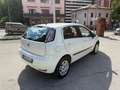 Fiat Punto Punto III 2012 5p 1.4 natural power Pop 70cv Bianco - thumbnail 5
