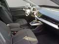 Audi e-tron 35 Navi PDC LED Grau - thumbnail 17