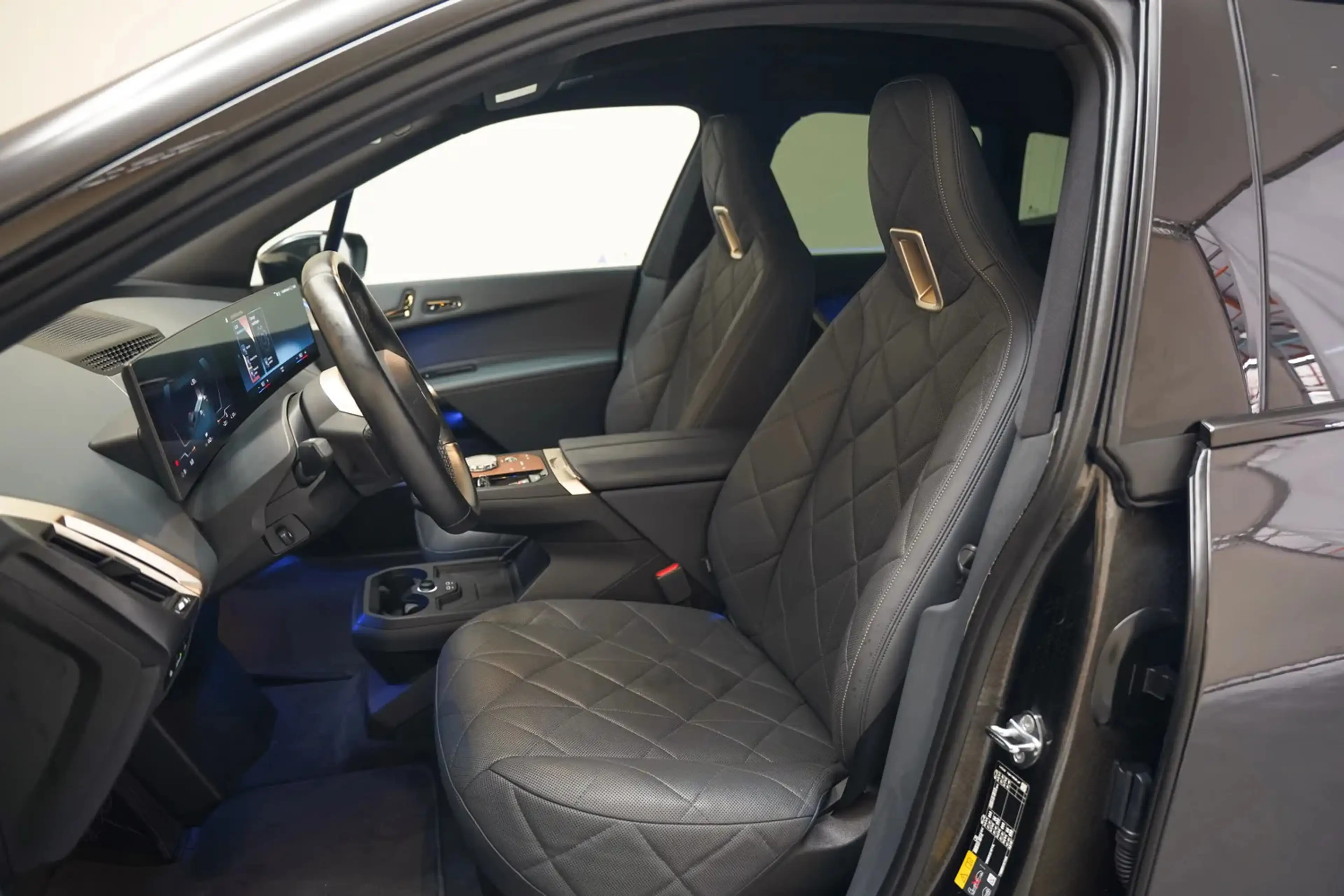 BMW iX xDrive50 M Sport High Executive 112 kWh [ Panorama — photo 10