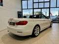 BMW 420 d Cabrio Modern *AIR COLLAR* bijela - thumbnail 4