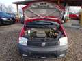 Fiat New Panda 1.1 8V Active Rot - thumbnail 13