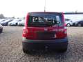 Fiat New Panda 1.1 8V Active Rot - thumbnail 5