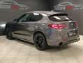 Alfa Romeo Stelvio Stelvio 2.2 t Veloce Q4 210cv auto Gris - thumbnail 16