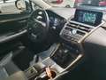 Lexus NX 300h 2.5i AWD Executive Line E-CVT (EU6.2) Gris - thumbnail 10