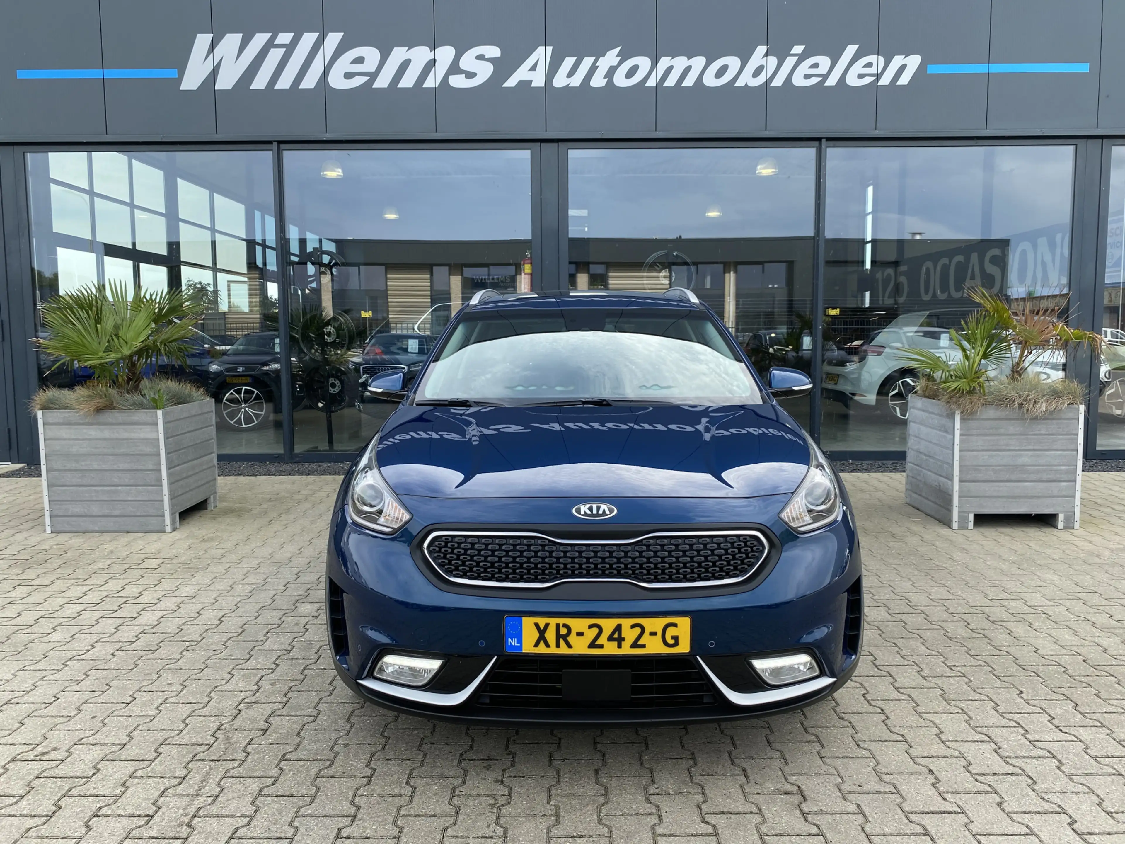 Kia Niro 1.6 GDi Hybrid BusinessLine Stoelverwarming & Stuu — photo 2