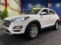 Hyundai TUCSON Trend 4WD*KAMERA*ALLRAD*CARPLAY*AHK*SHZG Blanc - thumbnail 1