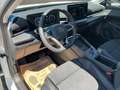 Volkswagen T-Roc STYLE - DSG - 4 Zylinder ! nur € 35.999,-* Weiß - thumbnail 9