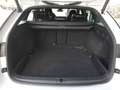 Skoda Octavia Combi "RS EDITION" 2,0 TDI DSG *19 ZOLL / RS-EXKLUSIV INTERIEUR / STANDHZG / DCC / MATRIX-LED / HEAD-UP / 360° KAMERA* Weiß - thumbnail 14