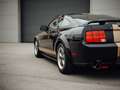 Ford Mustang Shelby GT-H Schwarz - thumbnail 8
