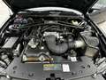 Ford Mustang Shelby GT-H Schwarz - thumbnail 22