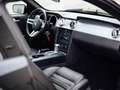 Ford Mustang Shelby GT-H Schwarz - thumbnail 14