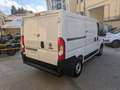 Fiat Ducato 2.3 MJT  PC-TN  Euro 6 d-temp  no IVA Weiß - thumbnail 4