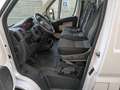 Fiat Ducato 2.3 MJT  PC-TN  Euro 6 d-temp  no IVA Weiß - thumbnail 8