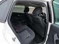 Volkswagen Polo 1.2 TSI Highline Blanco - thumbnail 21