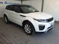 Land Rover Range Rover Evoque 2.0 eD4 150cv SE Dynamic Auto AWD Bianco - thumbnail 2