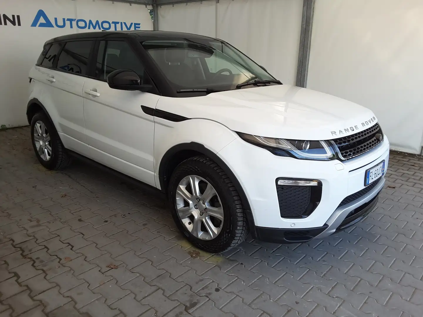 Land Rover Range Rover Evoque 2.0 eD4 150cv SE Dynamic Auto AWD Bianco - 2