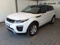 Land Rover Range Rover Evoque 2.0 eD4 150cv SE Dynamic Auto AWD Bianco - thumbnail 3