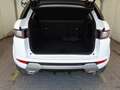 Land Rover Range Rover Evoque 2.0 eD4 150cv SE Dynamic Auto AWD Bianco - thumbnail 14