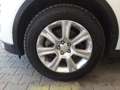 Land Rover Range Rover Evoque 2.0 eD4 150cv SE Dynamic Auto AWD Bianco - thumbnail 4