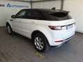 Land Rover Range Rover Evoque 2.0 eD4 150cv SE Dynamic Auto AWD Bianco - thumbnail 11