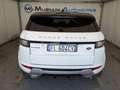 Land Rover Range Rover Evoque 2.0 eD4 150cv SE Dynamic Auto AWD Bianco - thumbnail 12