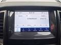 Ford Ranger Wildtrak 2,0 AHK3,5t Rollo Tuff Alus+Stollen 1Hd Grau - thumbnail 17