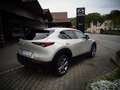 Mazda CX-30 2.0L e-SKYACTIV G 150ps 6AT FWD Exclusive-line DES Beżowy - thumbnail 6