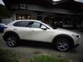 Mazda CX-30 2.0L e-SKYACTIV G 150ps 6AT FWD Exclusive-line DES Beżowy - thumbnail 5