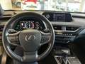 Lexus UX 250h Luxury Line Zwart - thumbnail 12