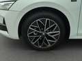 Skoda Octavia 2.0 TDI Tour Navi*AHK*Pano*Matrix*El.Hec Weiß - thumbnail 13