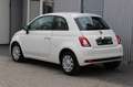 Fiat 500 Cult Hybrid+Klima+Tempomat+1.Hand Weiß - thumbnail 2