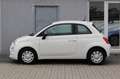 Fiat 500 Cult Hybrid+Klima+Tempomat+1.Hand Weiß - thumbnail 5