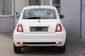 Fiat 500 Cult Hybrid+Klima+Tempomat+1.Hand Weiß - thumbnail 8