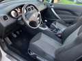 Peugeot 308 CC 1.6 hdi 8v Feline 112cv CABRIO! NEOPATENTATI! Wit - thumbnail 7