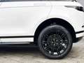 Land Rover Range Rover Evoque D200 Dynamic SE Weiß - thumbnail 9