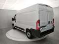 Fiat Ducato 33 2.2 Mjt 140CV PM-TM Furgone MH2 PACK TE Blanc - thumbnail 4