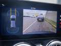 Mercedes-Benz EQA 250 250+ Luxury Line Panorama dak Rood - thumbnail 35